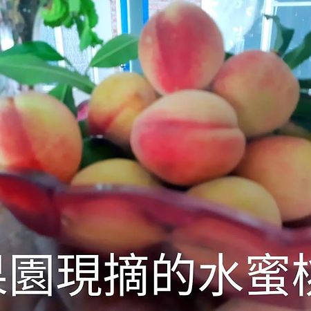 Taitung Linyuan B&B Donghe Eksteriør bilde